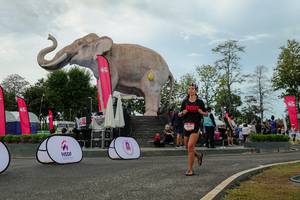 BIB: 
                            <button type="button" onclick="openModal(26528896)" class="btn btn-primary btn-sm float-right btn-popup" data-toggle="modal" data-target=".modal-high-quality">
                        <i class="fas fa-shopping-cart"></i> Add to Cart
                    </button>
                                            <button type="button" onclick="isThisMe(26528896, true)" class="btn btn-success btn-sm float-right btn-popup btn-isme hidden" data-toggle="tooltip" data-placement="bottom" title="นี่คือรูปของคุณใช่ไหม คลิกที่นี่เพื่อเอาเข้าอัลบั้ม">
                        <i class="fas fa-plus"></i> Add to album
                    </button>
                    <button type="button" onclick="isThisMe(26528896, false)" class="btn btn-warning btn-sm float-right btn-popup btn-isnotme hidden">
                        <i class="fas fa-ban"></i> Remove from album
                    </button>